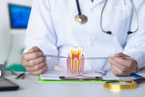 Best Emergency Broken Tooth Repair in Palmer Ranch, FL